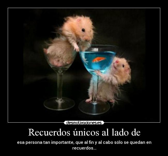 Recuerdos únicos al lado de - esa persona tan importante, que al fin y al cabo sólo se quedan en recuerdos...