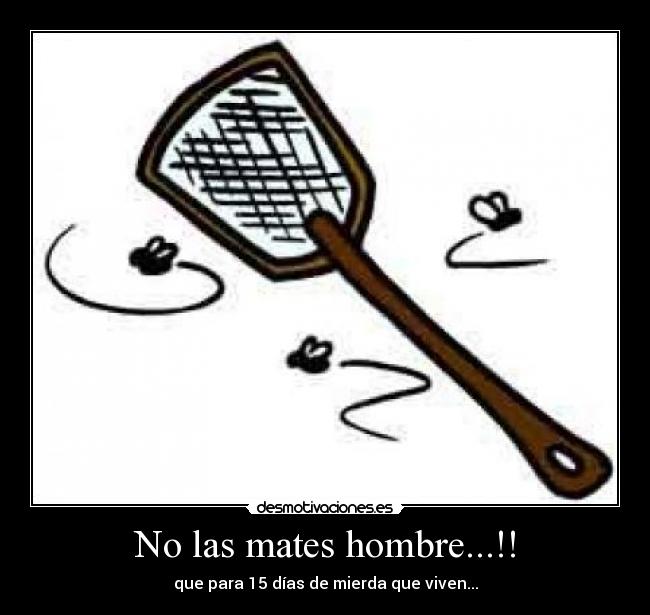 No las mates hombre...!! - que para 15 días de mierda que viven...