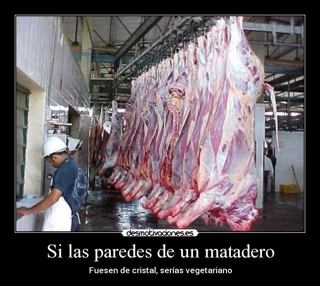 Si las paredes de un matadero - Fuesen de cristal, serías vegetariano