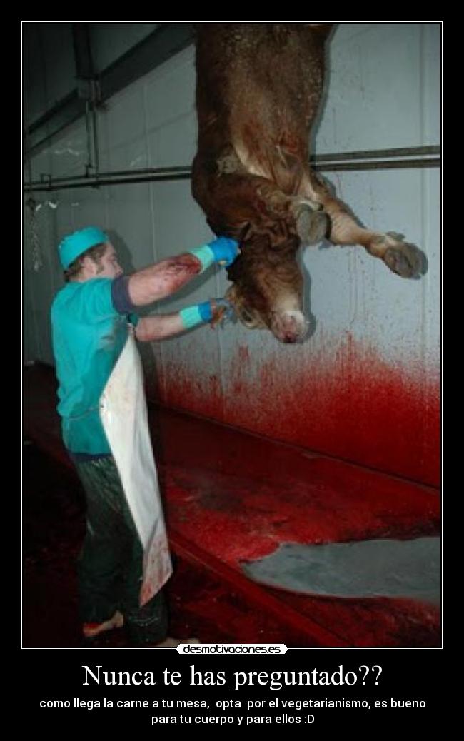 carteles vegetarianismo desmotivaciones