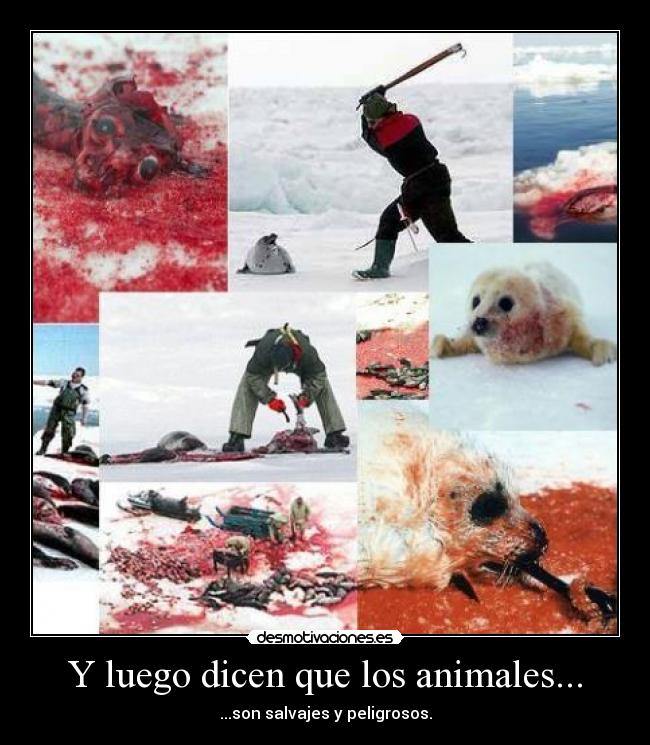 Y luego dicen que los animales... - 