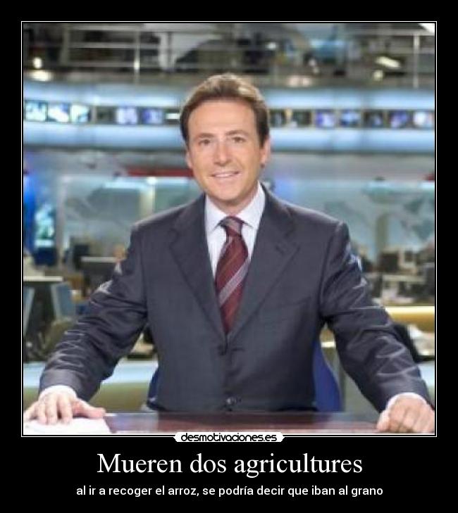 Mueren dos agricultures - al ir a recoger el arroz, se podría decir que iban al grano