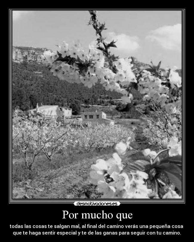 Por mucho que - todas las cosas te salgan mal, al final del camino verás una pequeña cosa 
 que te haga sentir especial y te de las ganas para seguir con tu camino. 