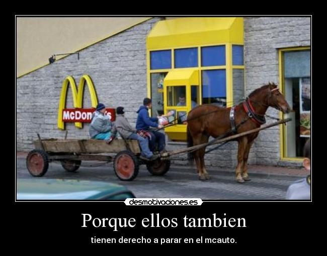 Porque ellos tambien - tienen derecho a parar en el mcauto.