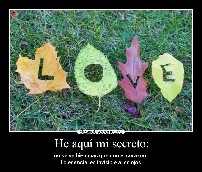 He aquí mi secreto: - no se ve bien más que con el corazón.
Lo esencial es invisible a los ojos.