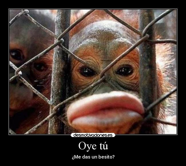 Oye tú -