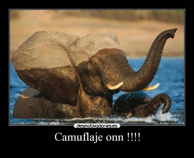 Camuflaje onn !!!! -
