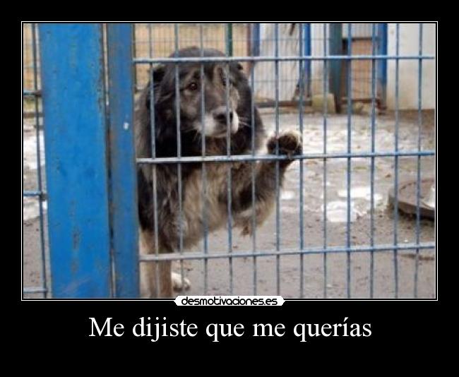 Me dijiste que me querías -