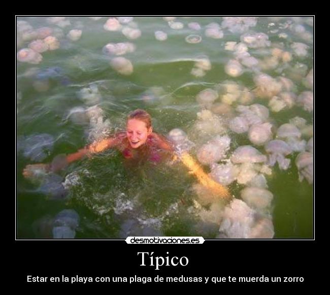 Típico  - Estar en la playa con una plaga de medusas y que te muerda un zorro