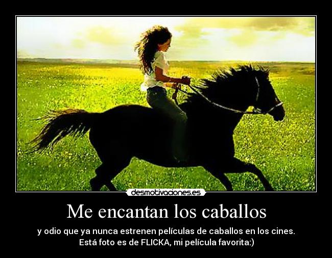 Me encantan los caballos - y odio que ya nunca estrenen películas de caballos en los cines.
Está foto es de FLICKA, mi película favorita:)