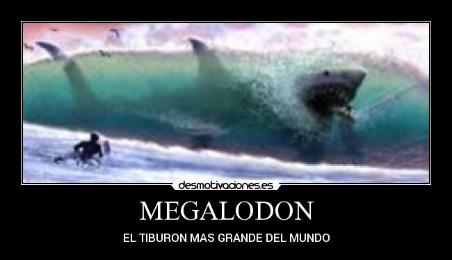 MEGALODON - EL TIBURON MAS GRANDE DEL MUNDO