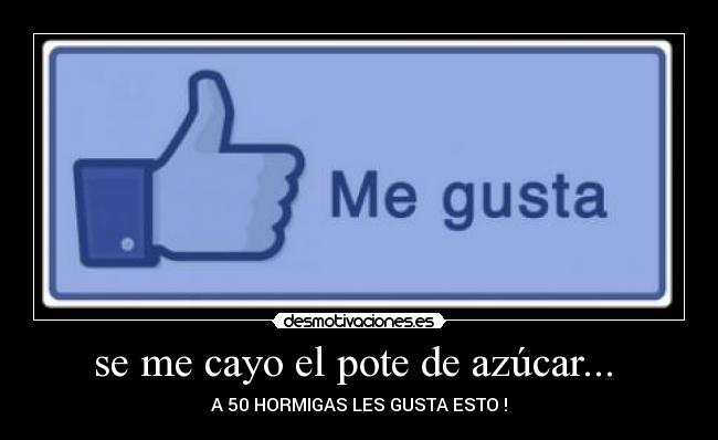 se me cayo el pote de azúcar... - A 50 HORMIGAS LES GUSTA ESTO !