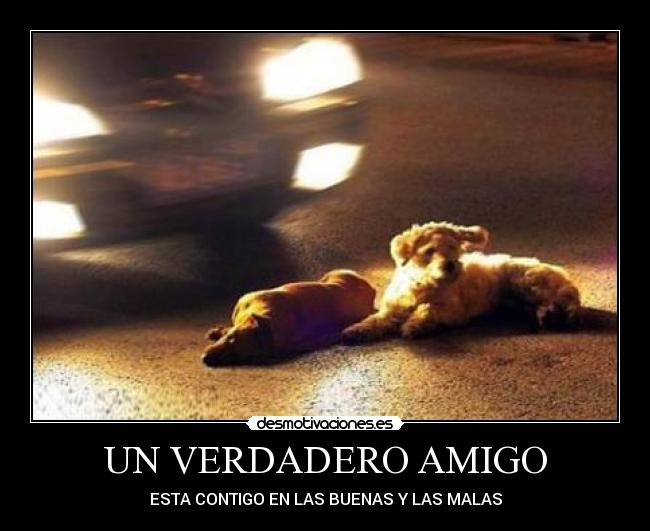UN VERDADERO AMIGO - 