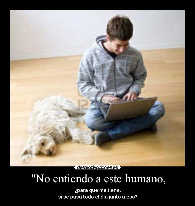 carteles perropccomputadorcomputadorapersonachico desmotivaciones