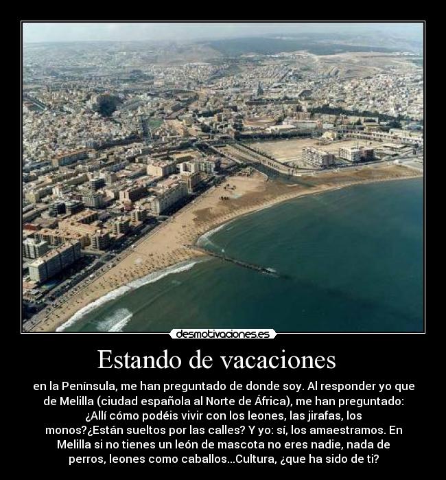 Estando de vacaciones - en la Península, me han preguntado de donde soy. Al responder yo que
de Melilla (ciudad española al Norte de África), me han preguntado:
¿Allí cómo podéis vivir con los leones, las jirafas, los
monos?¿Están sueltos por las calles? Y yo: sí, los amaestramos. En
Melilla si no tienes un león de mascota no eres nadie, nada de
perros, leones como caballos...Cultura, ¿que ha sido de ti?