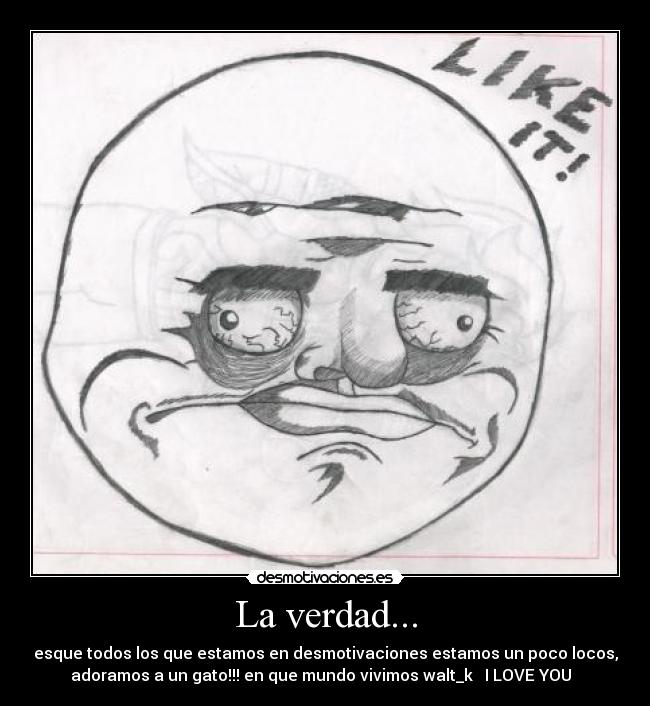 La verdad... - esque todos los que estamos en desmotivaciones estamos un poco locos,
adoramos a un gato!!! en que mundo vivimos walt_k ♥ I LOVE YOU