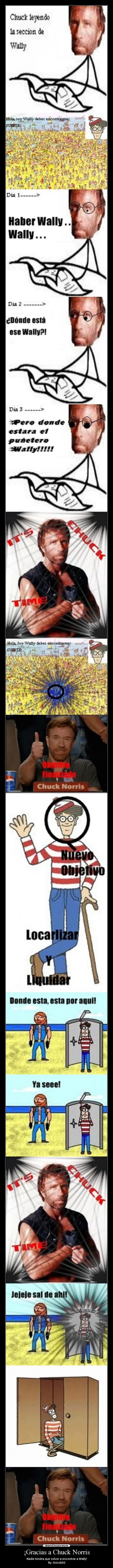 ¡Gracias a Chuck Norris -