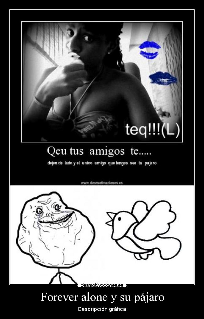 Forever alone y su pájaro - Descripción gráfica
