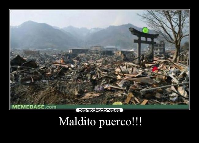 Maldito puerco!!! - 