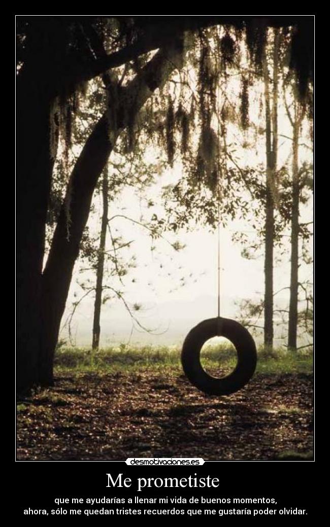 Me prometiste - que me ayudarías a llenar mi vida de buenos momentos,
ahora, sólo me quedan tristes recuerdos que me gustaría poder olvidar.