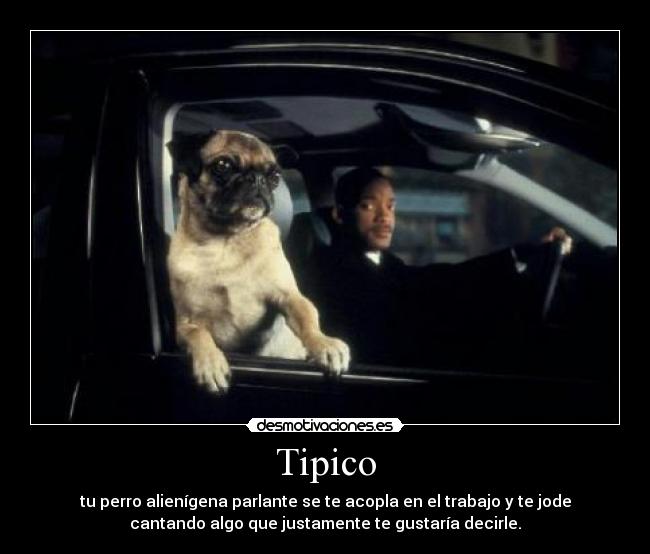 Tipico - tu perro alienígena parlante se te acopla en el trabajo y te jode
cantando algo que justamente te gustaría decirle.