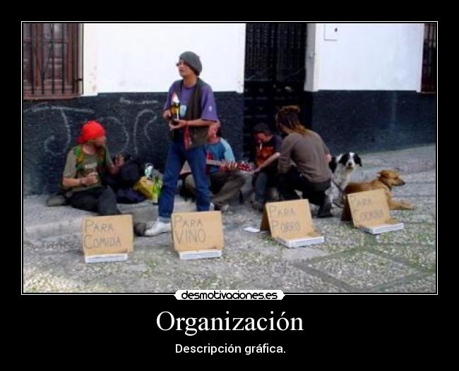 Organización - 