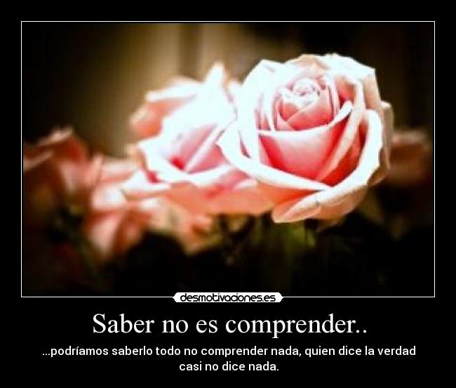 Saber no es comprender.. - ...podríamos saberlo todo no comprender nada, quien dice la verdad
casi no dice nada.