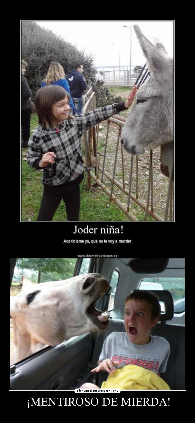 carteles burro mentiroso t_t nereagothic desmotivaciones