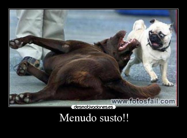 Menudo susto!! - 