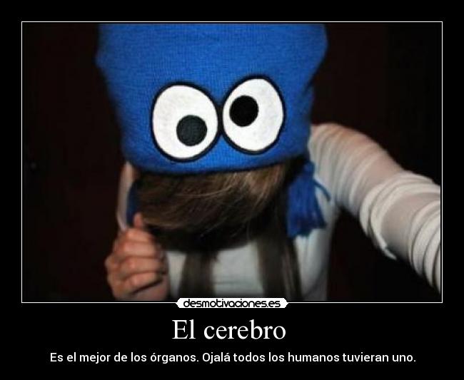 El cerebro -