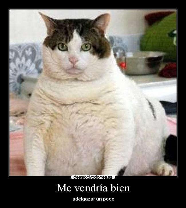 Me vendría bien - adelgazar un poco