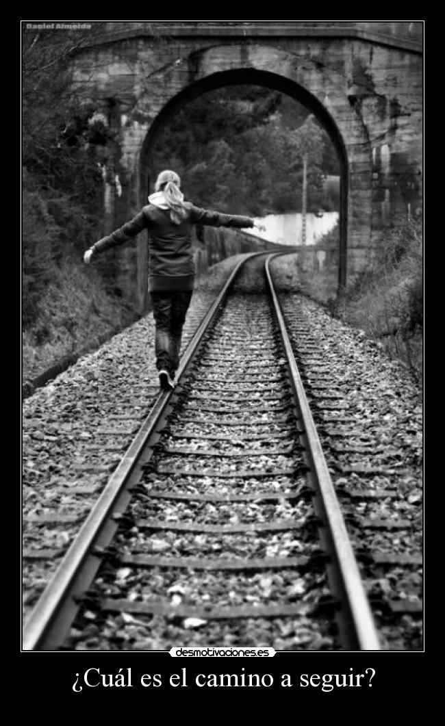 ¿Cuál es el camino a seguir? -