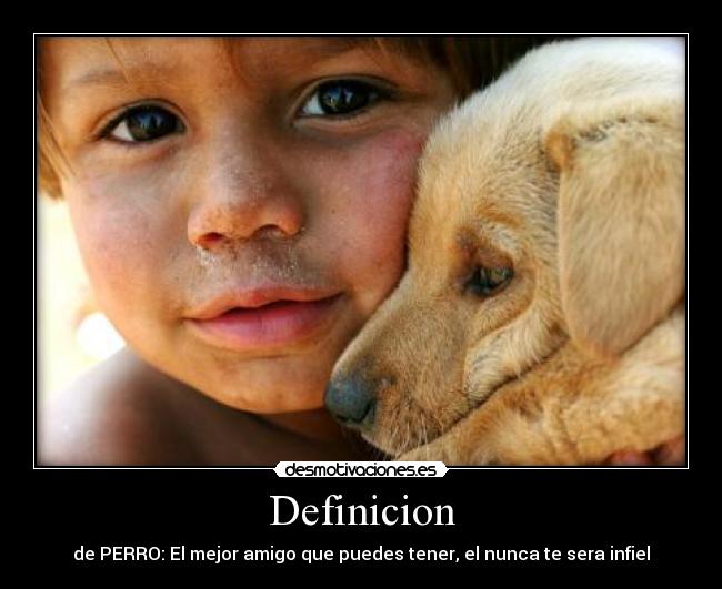 Definicion - de PERRO: El mejor amigo que puedes tener, el nunca te sera infiel