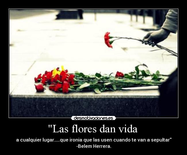 Las flores dan vida - a cualquier lugar.....que ironia que las usen cuando te van a sepultar
-Belem Herrera.