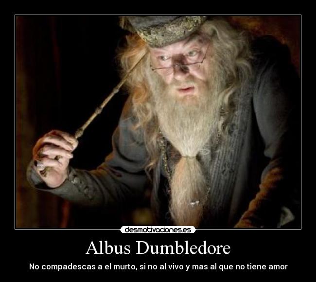 Albus Dumbledore -