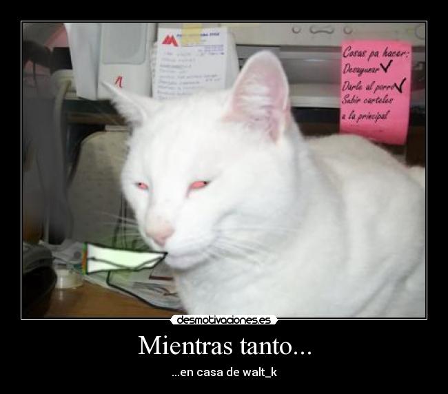 Mientras tanto... - ...en casa de walt_k