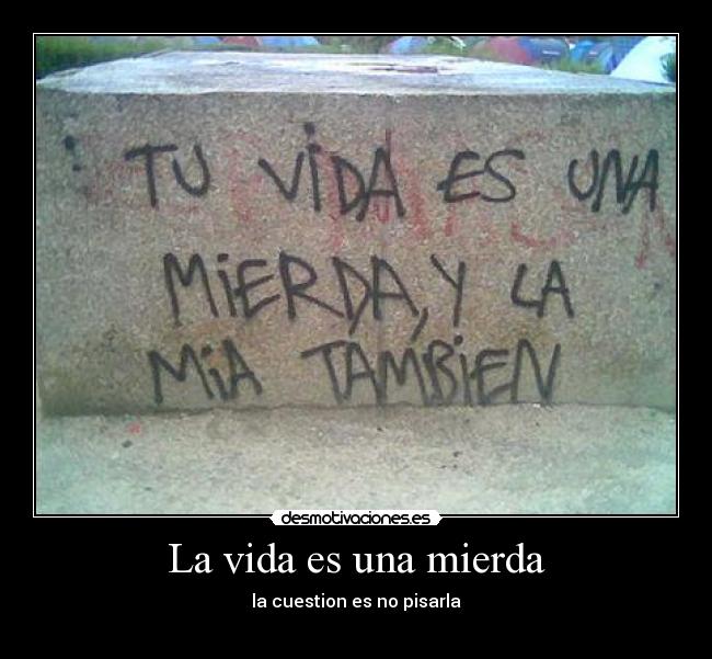 carteles vida mierda desmotivaciones