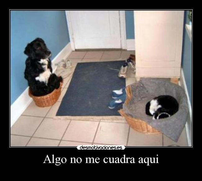 Algo no me cuadra aqui -