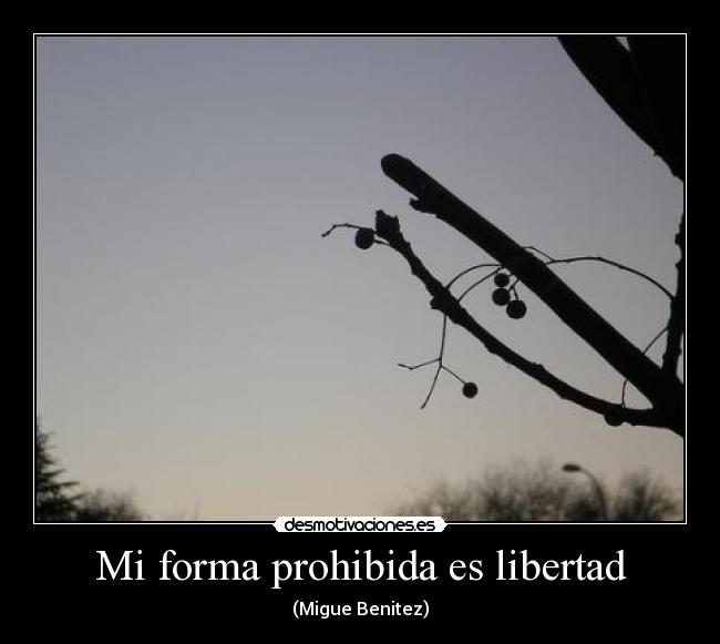 Mi forma prohibida es libertad - (Migue Benitez)