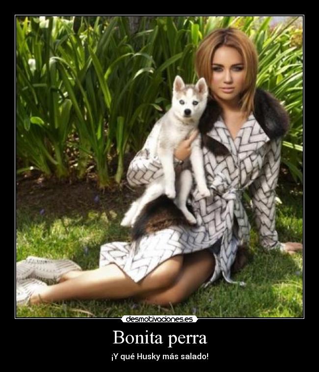 Bonita perra - ¡Y qué Husky más salado!