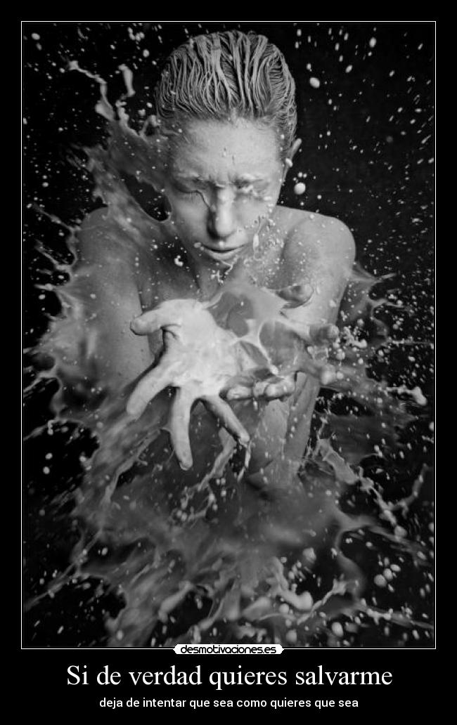 carteles tonto que lea desmotivaciones