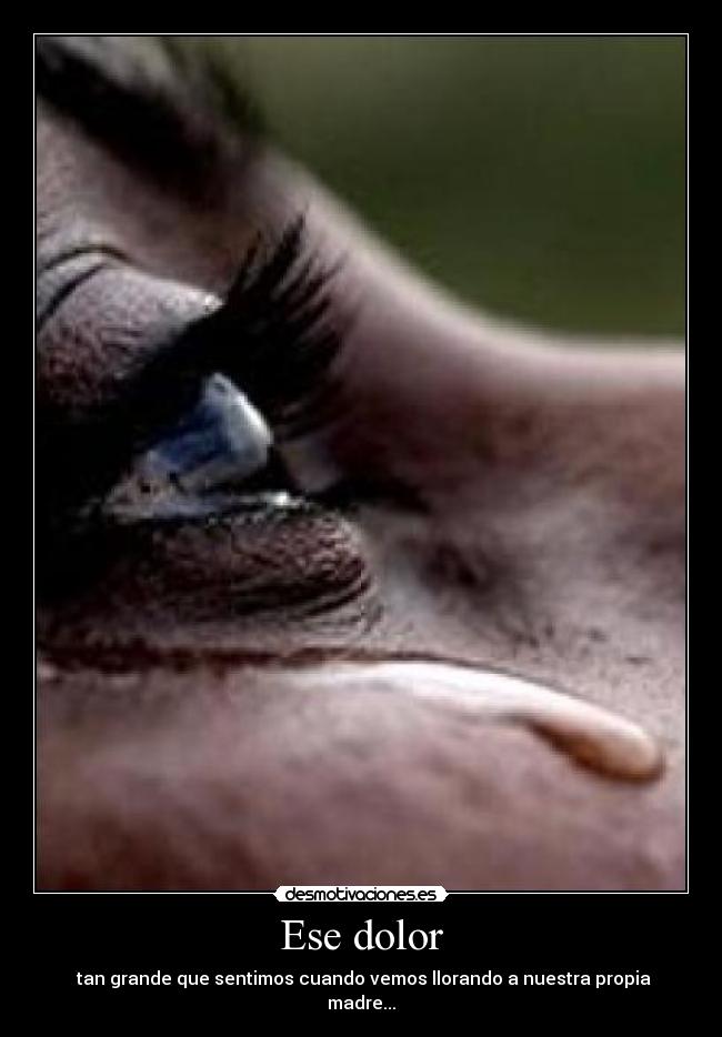 Ese dolor - tan grande que sentimos cuando vemos llorando a nuestra propia madre...