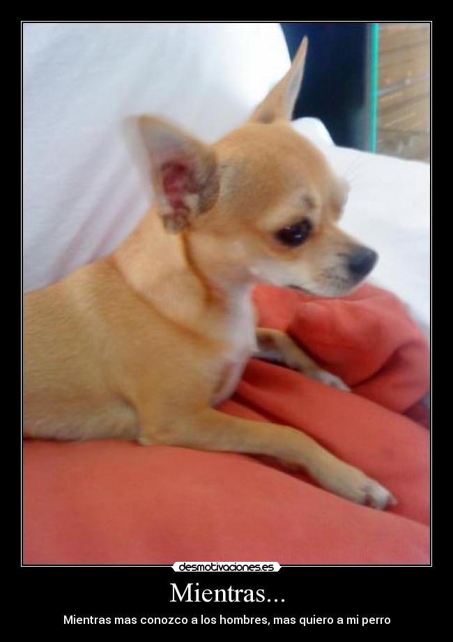 Mientras... - Mientras mas conozco a los hombres, mas quiero a mi perro