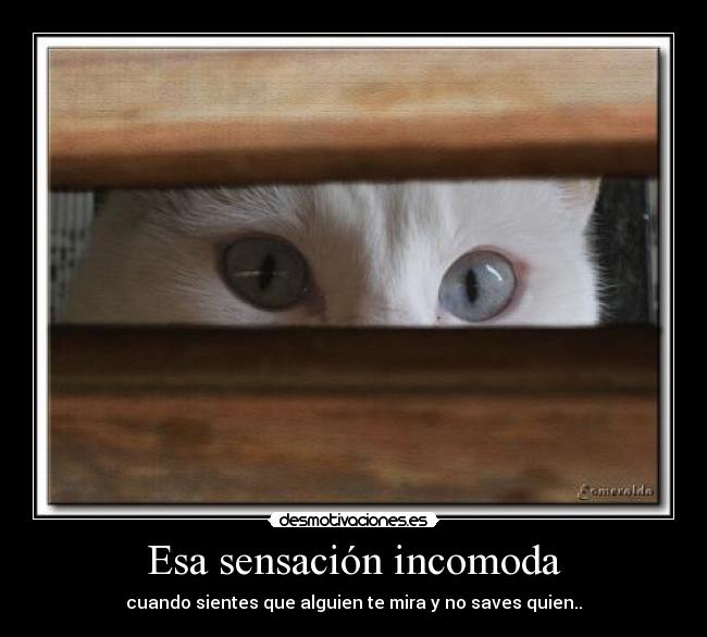 carteles sensacion incomoda desmotivaciones