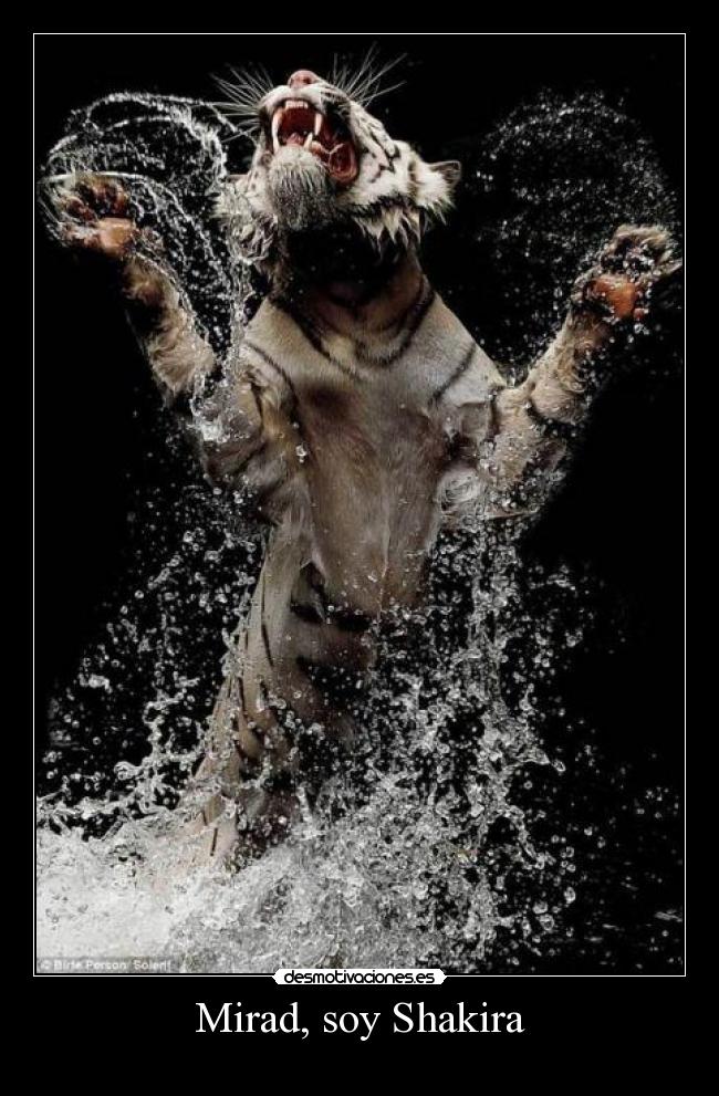 Mirad, soy Shakira -