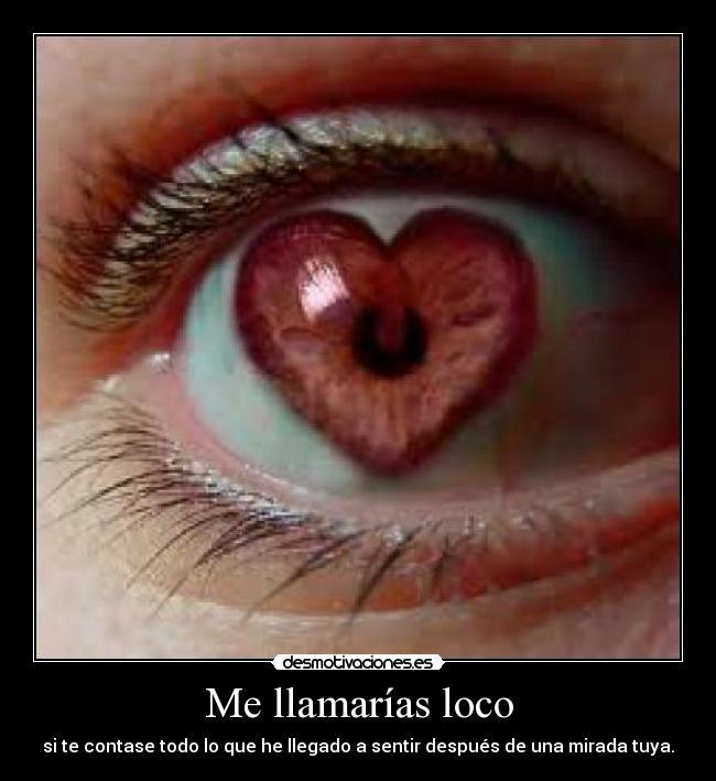 Me llamarías loco -