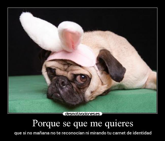 Porque se que me quieres -