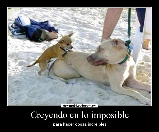 Creyendo en lo imposible - para hacer cosas increibles