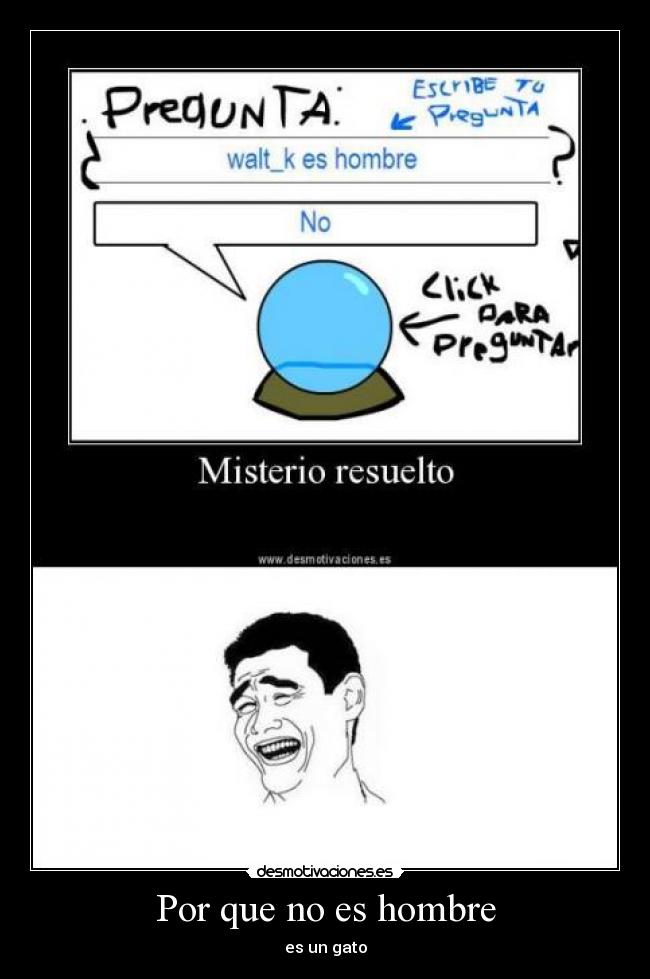 Por que no es hombre - es un gato