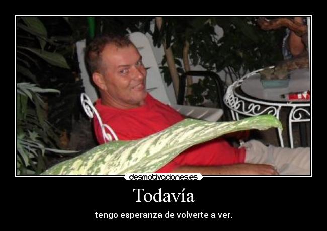 Todavía - tengo esperanza de volverte a ver.